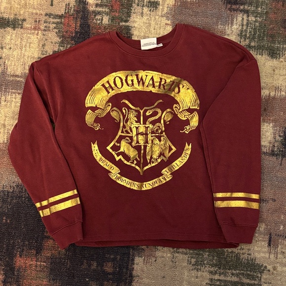 Warner Bros. Other - 🔮 Warner Bros. Burgundy Hogwarts Sweatshirt PTP 20